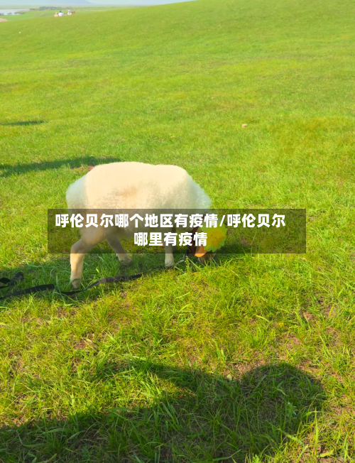 呼伦贝尔哪个地区有疫情/呼伦贝尔哪里有疫情-第2张图片