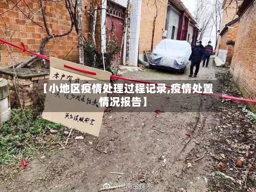 【小地区疫情处理过程记录,疫情处置情况报告】