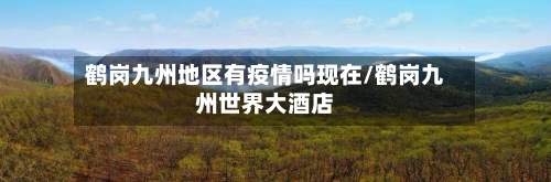 鹤岗九州地区有疫情吗现在/鹤岗九州世界大酒店