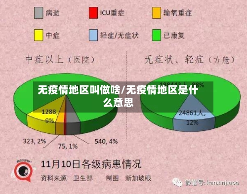 无疫情地区叫做啥/无疫情地区是什么意思