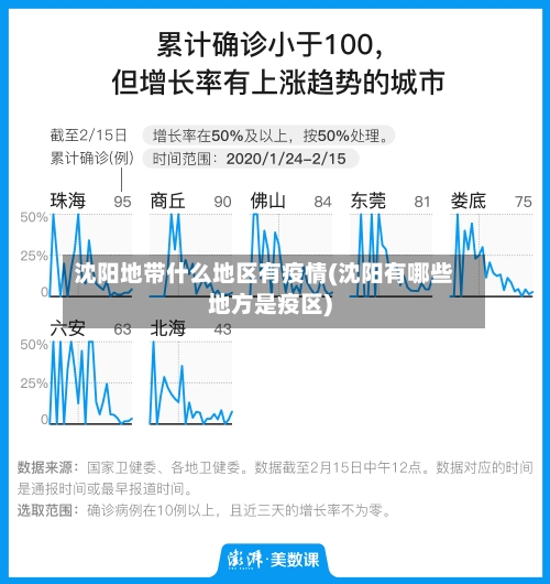 沈阳地带什么地区有疫情(沈阳有哪些地方是疫区)-第3张图片