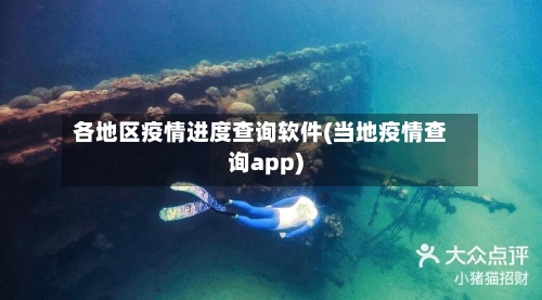 各地区疫情进度查询软件(当地疫情查询app)