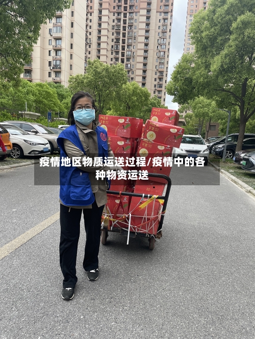 疫情地区物质运送过程/疫情中的各种物资运送-第3张图片