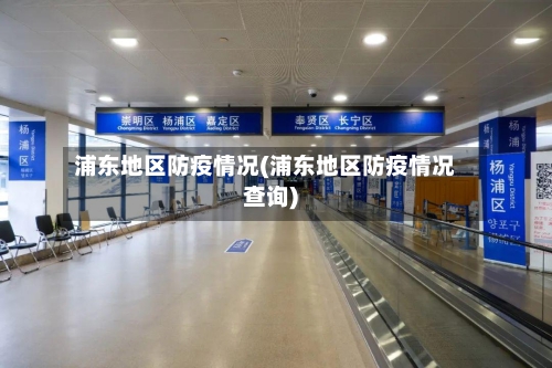 浦东地区防疫情况(浦东地区防疫情况查询)