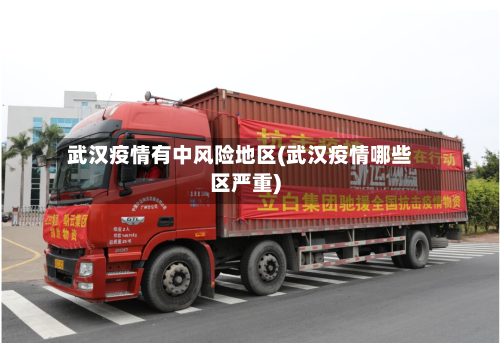 武汉疫情有中风险地区(武汉疫情哪些区严重)