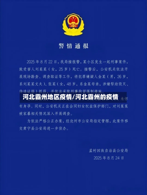 河北霸州地区疫情/河北霸州的疫情