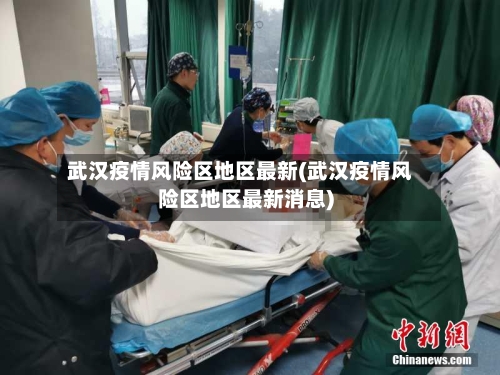 武汉疫情风险区地区最新(武汉疫情风险区地区最新消息)