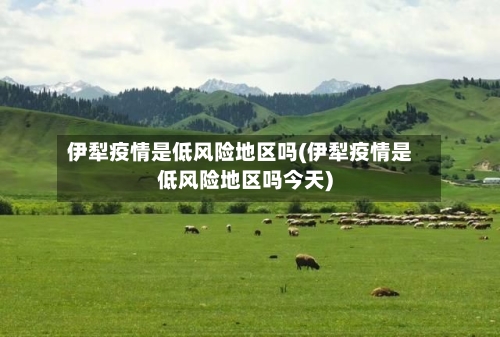 伊犁疫情是低风险地区吗(伊犁疫情是低风险地区吗今天)