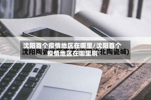 沈阳首个疫情地区在哪里/沈阳首个疫情地区在哪里啊-第2张图片