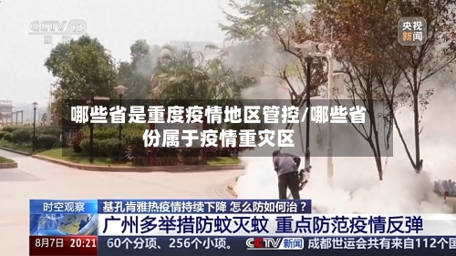 哪些省是重度疫情地区管控/哪些省份属于疫情重灾区