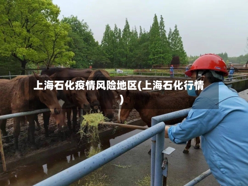 上海石化疫情风险地区(上海石化行情)