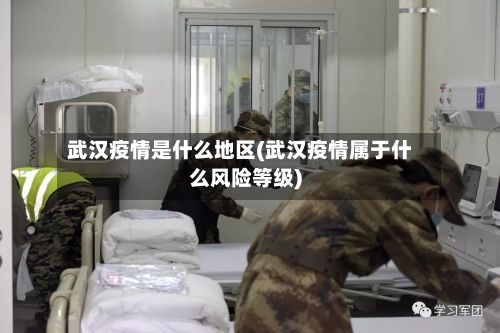 武汉疫情是什么地区(武汉疫情属于什么风险等级)