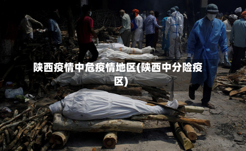 陕西疫情中危疫情地区(陕西中分险疫区)