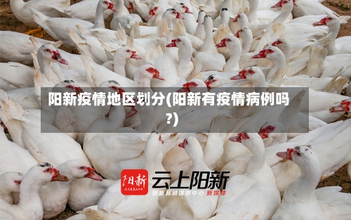 阳新疫情地区划分(阳新有疫情病例吗?)