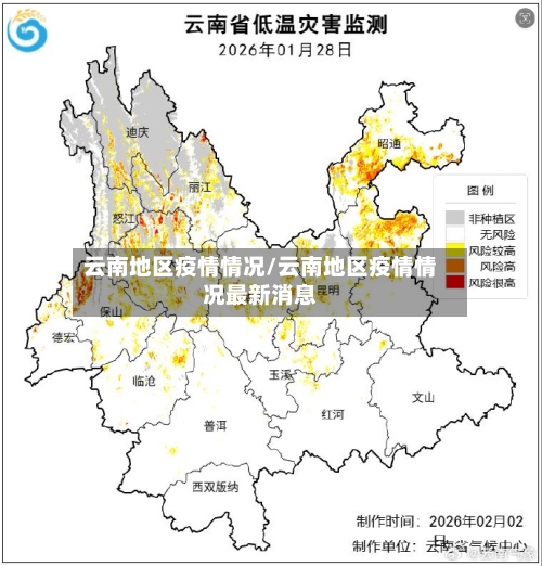 云南地区疫情情况/云南地区疫情情况最新消息-第3张图片