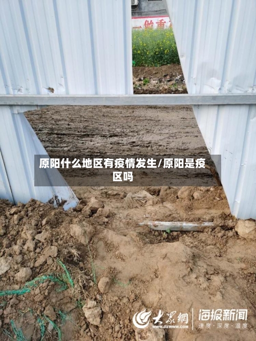 原阳什么地区有疫情发生/原阳是疫区吗