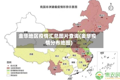 金华地区疫情汇总图片查询(金华疫情分布地图)-第3张图片