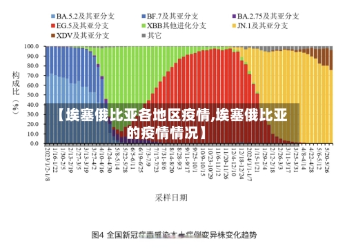 【埃塞俄比亚各地区疫情,埃塞俄比亚的疫情情况】-第2张图片