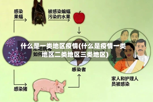 什么是一类地区疫情(什么是疫情一类地区二类地区三类地区)