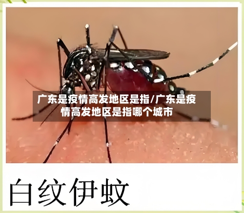 广东是疫情高发地区是指/广东是疫情高发地区是指哪个城市-第2张图片