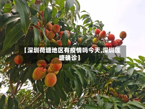 【深圳荷塘地区有疫情吗今天,深圳莲塘确诊】