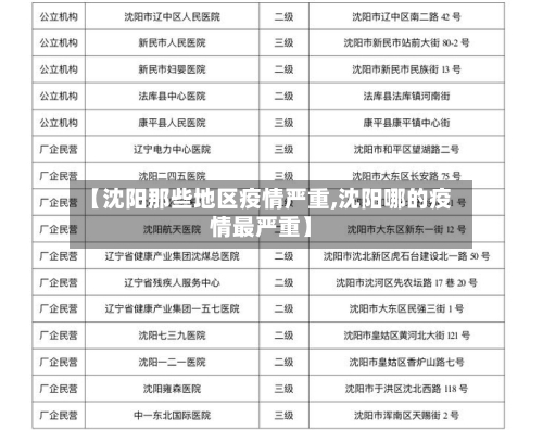 【沈阳那些地区疫情严重,沈阳哪的疫情最严重】-第2张图片