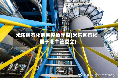 米东区石化地区疫情等级(米东区石化属于哪个管委会)