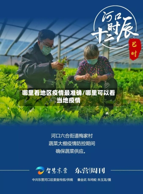 哪里看地区疫情最准确/哪里可以看当地疫情