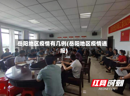 岳阳地区疫情有几例(岳阳地区疫情通报)