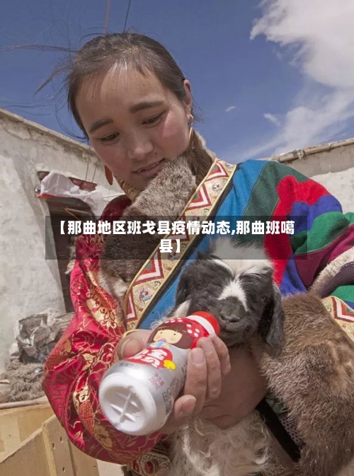 【那曲地区班戈县疫情动态,那曲班噶县】