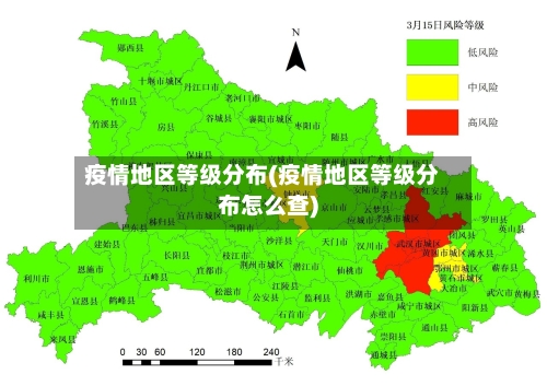 疫情地区等级分布(疫情地区等级分布怎么查)
