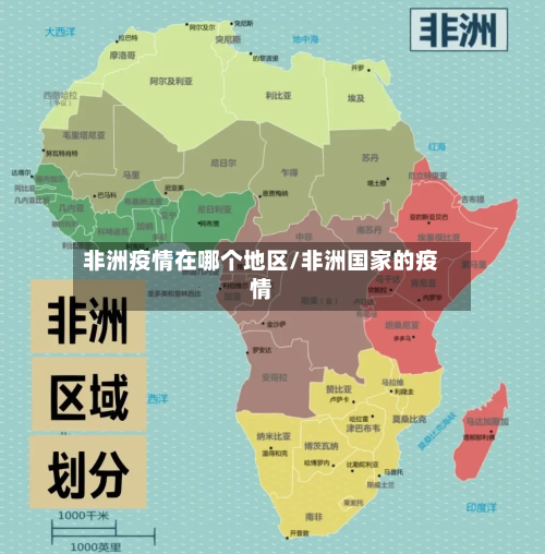 非洲疫情在哪个地区/非洲国家的疫情