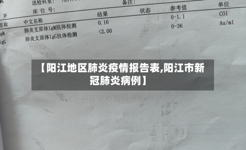 【阳江地区肺炎疫情报告表,阳江市新冠肺炎病例】-第3张图片