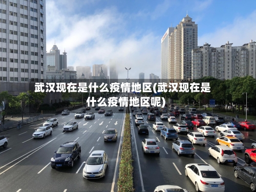 武汉现在是什么疫情地区(武汉现在是什么疫情地区呢)-第2张图片