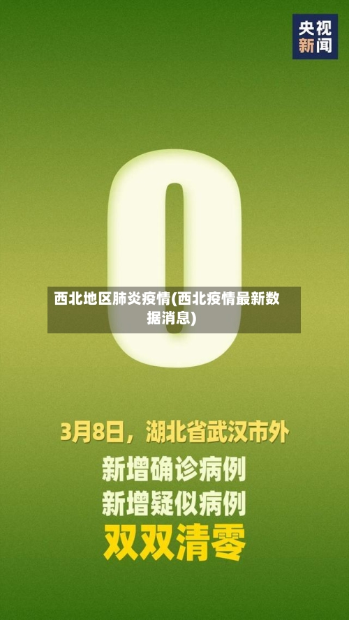 西北地区肺炎疫情(西北疫情最新数据消息)-第3张图片