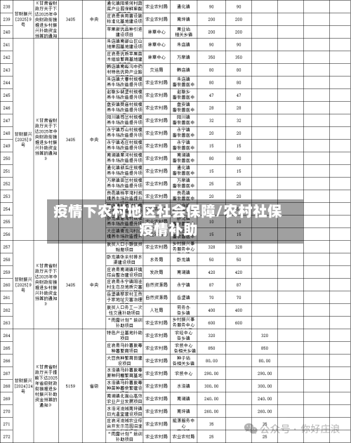 疫情下农村地区社会保障/农村社保疫情补助-第2张图片
