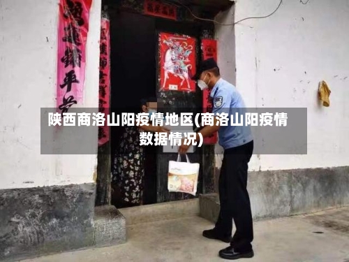 陕西商洛山阳疫情地区(商洛山阳疫情数据情况)-第3张图片