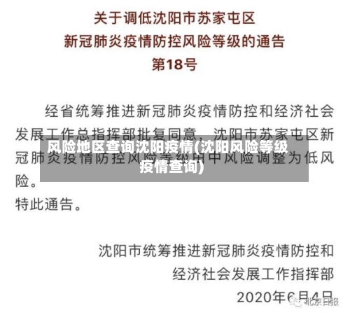 风险地区查询沈阳疫情(沈阳风险等级疫情查询)