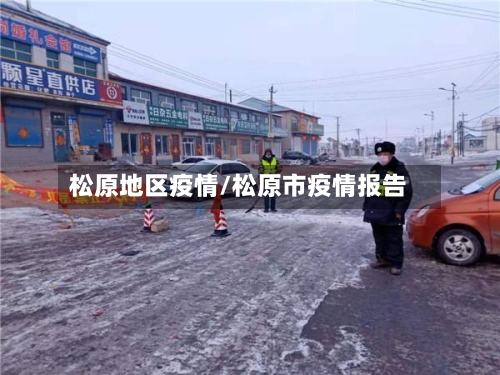 松原地区疫情/松原市疫情报告