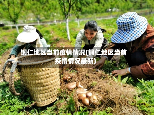 铜仁地区当前疫情情况(铜仁地区当前疫情情况最新)