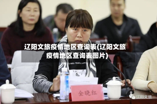 辽阳文旅疫情地区查询表(辽阳文旅疫情地区查询表图片)-第3张图片