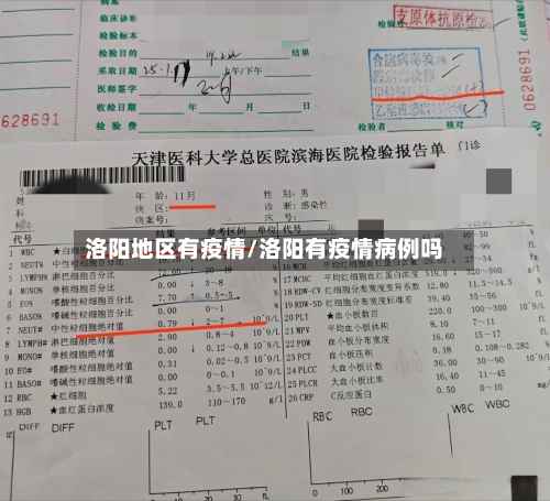 洛阳地区有疫情/洛阳有疫情病例吗