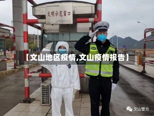 【文山地区疫情,文山疫情报告】