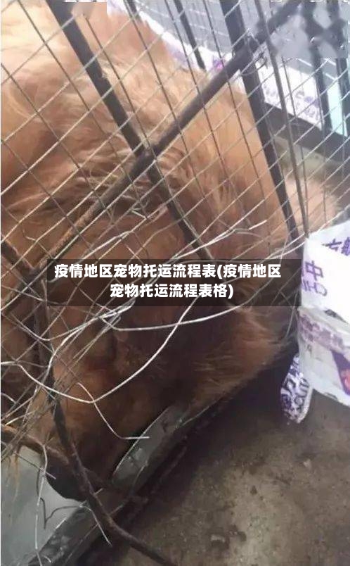 疫情地区宠物托运流程表(疫情地区宠物托运流程表格)