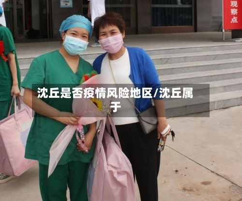 沈丘是否疫情风险地区/沈丘属于-第3张图片