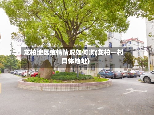 龙柏地区疫情情况如何啊(龙柏一村具体地址)